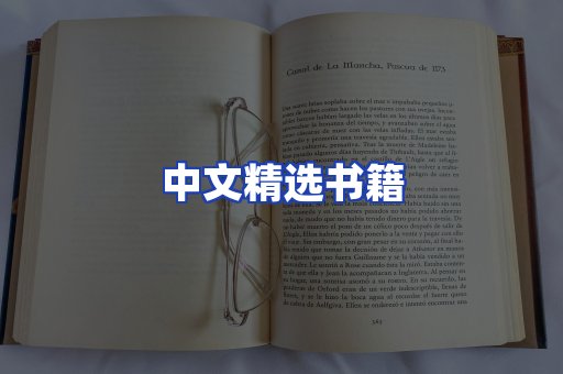 中文精选书籍